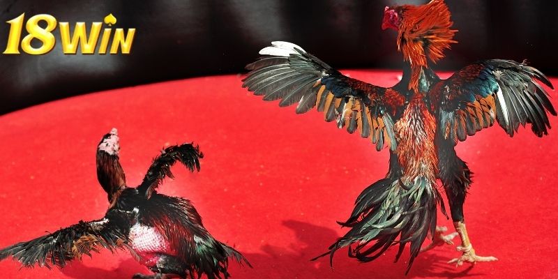 Một lợi ích lớn nhất là trải nghiệm thực tế